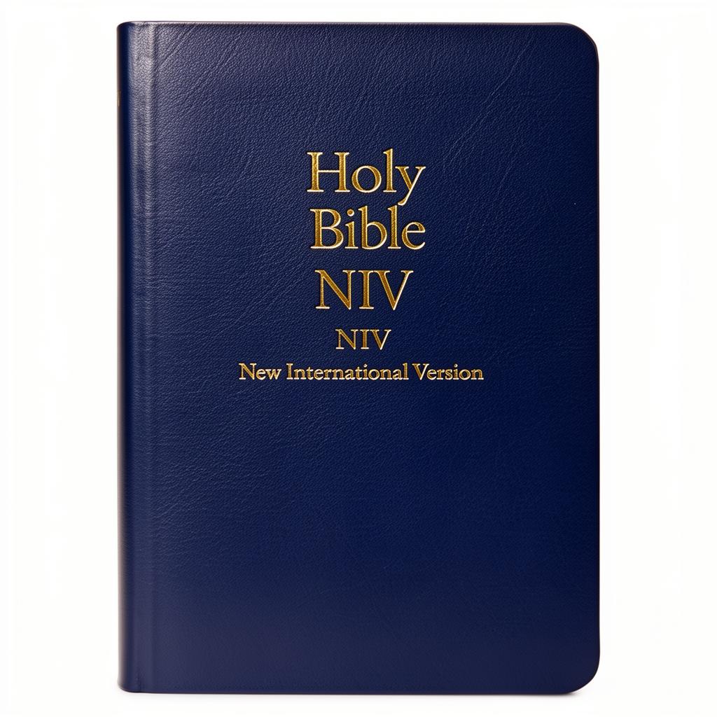 Book cover for Holy Bible — New International Version (NIV) by Biblica